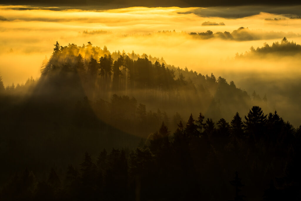 Bohemian Switzerland 2014